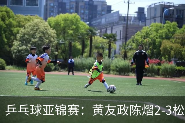 乒乓球亚锦赛：黄友政/陈熠2-3松岛辉空/张本美和 混双摘银