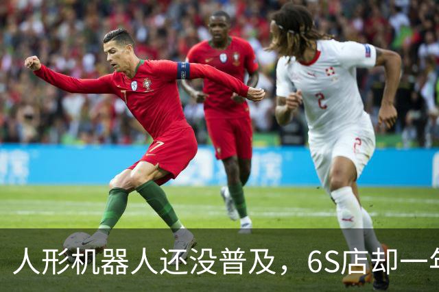 人形机器人还没普及，6S店却一年开了二十多家，这生意正常吗？