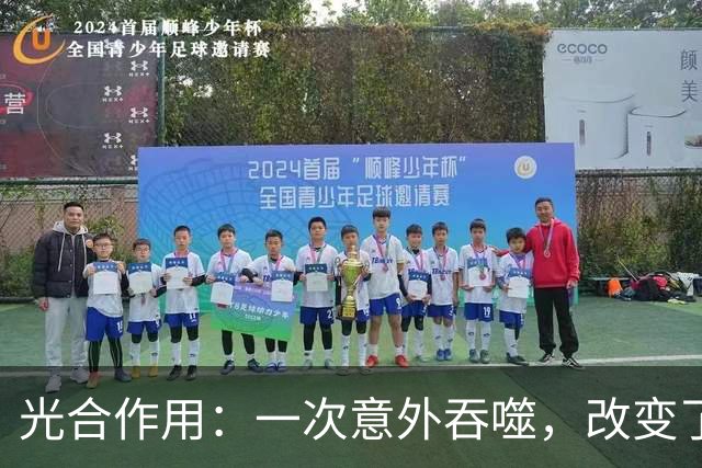 光合作用：一次意外吞噬，改变了整个地球