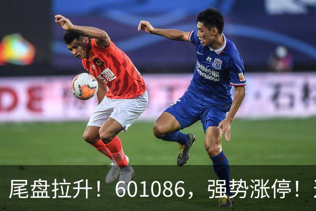 尾盘拉升！601086，强势涨停！这一板块逆市爆发
