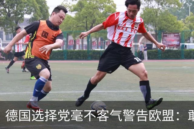 德国选择党毫不客气警告欧盟：敢拒绝我们的提议，后果将十分严重