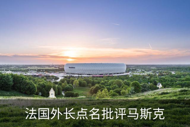法国外长点名批评马斯克