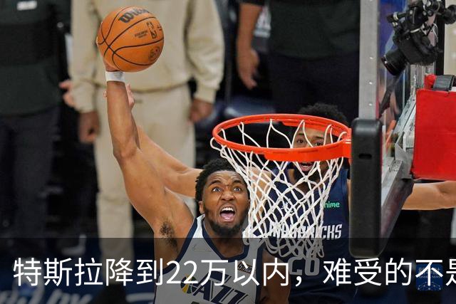特斯拉降到22万以内，难受的不是对手，是上个月刚提车的人
