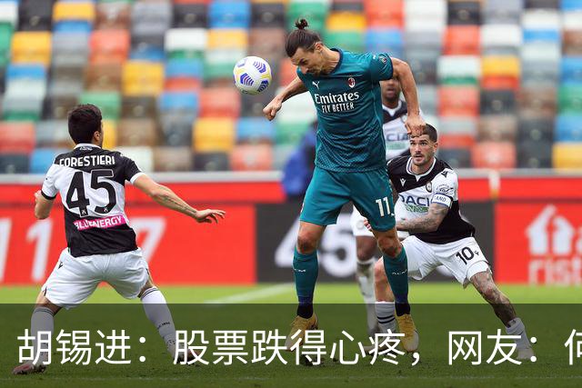胡锡进：股票跌得心疼，网友：何止心疼，完全是肉疼